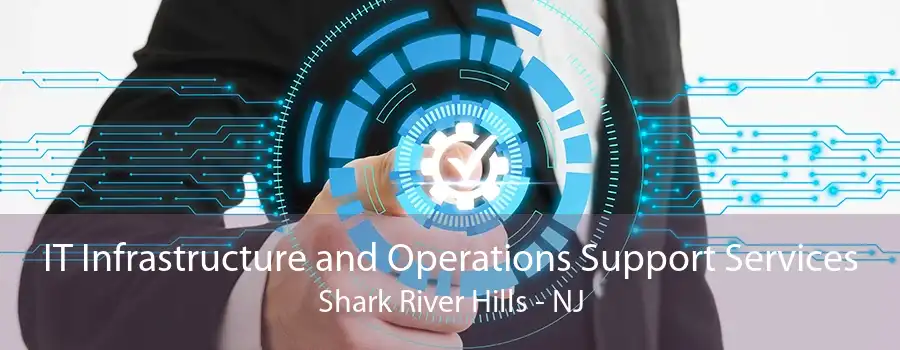 IT Infrastructure and Operations Support Services Shark River Hills - NJ