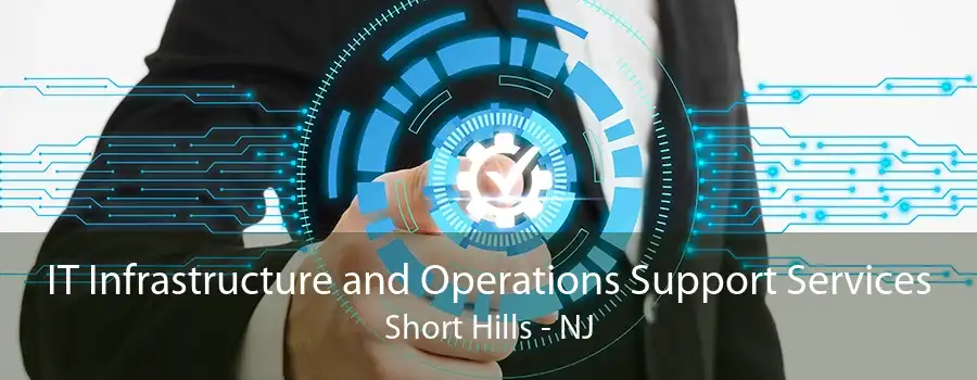 IT Infrastructure and Operations Support Services Short Hills - NJ