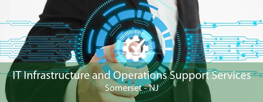 IT Infrastructure and Operations Support Services Somerset - NJ