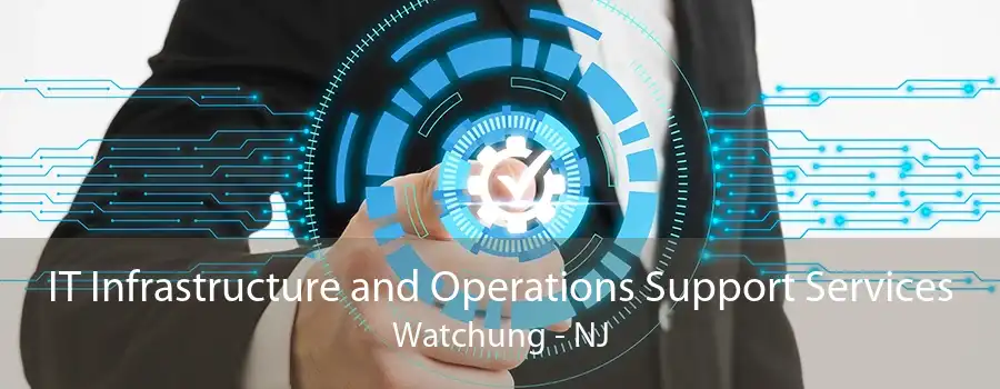 IT Infrastructure and Operations Support Services Watchung - NJ