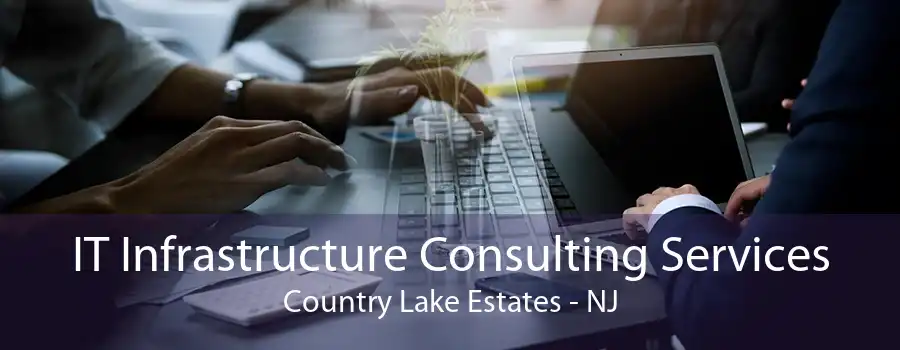 IT Infrastructure Consulting Services Country Lake Estates - NJ