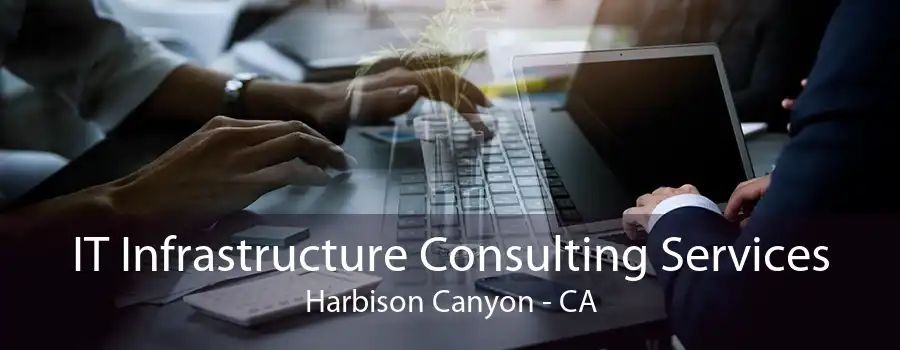 IT Infrastructure Consulting Services Harbison Canyon - CA