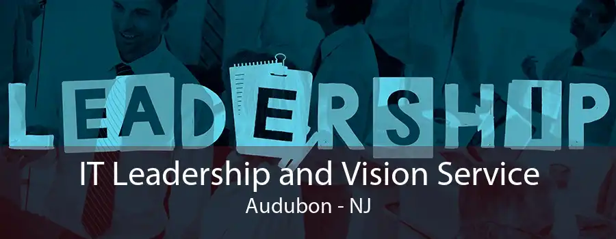 IT Leadership and Vision Service Audubon - NJ