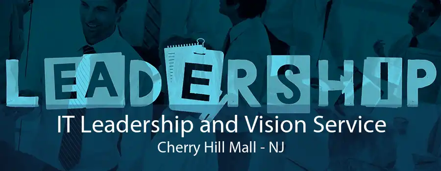 IT Leadership and Vision Service Cherry Hill Mall - NJ