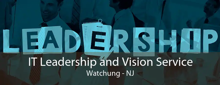 IT Leadership and Vision Service Watchung - NJ