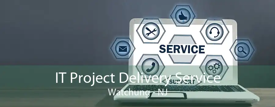 IT Project Delivery Service Watchung - NJ