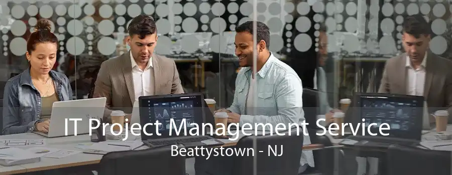 IT Project Management Service Beattystown - NJ