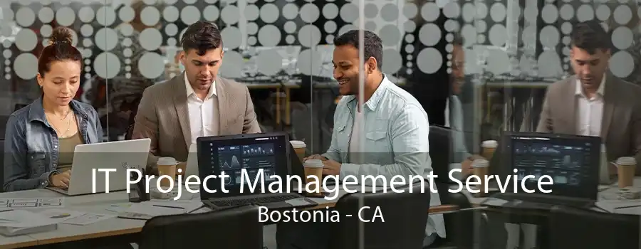 IT Project Management Service Bostonia - CA