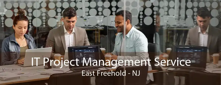 IT Project Management Service East Freehold - NJ