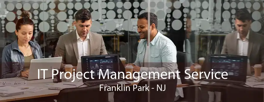 IT Project Management Service Franklin Park - NJ