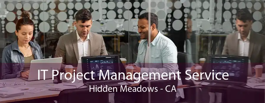 IT Project Management Service Hidden Meadows - CA