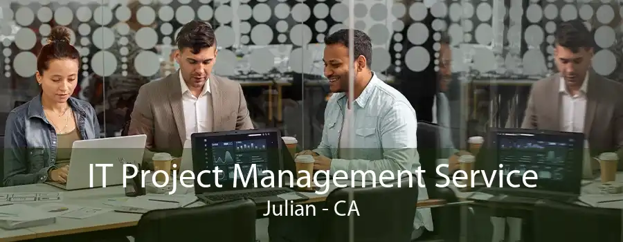 IT Project Management Service Julian - CA