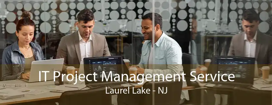 IT Project Management Service Laurel Lake - NJ