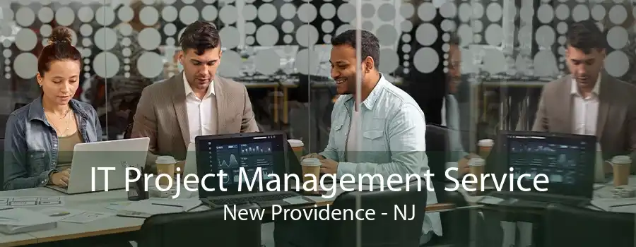 IT Project Management Service New Providence - NJ