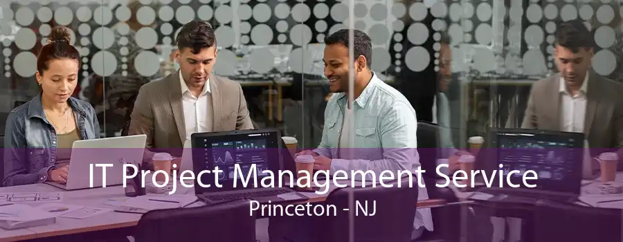IT Project Management Service Princeton - NJ