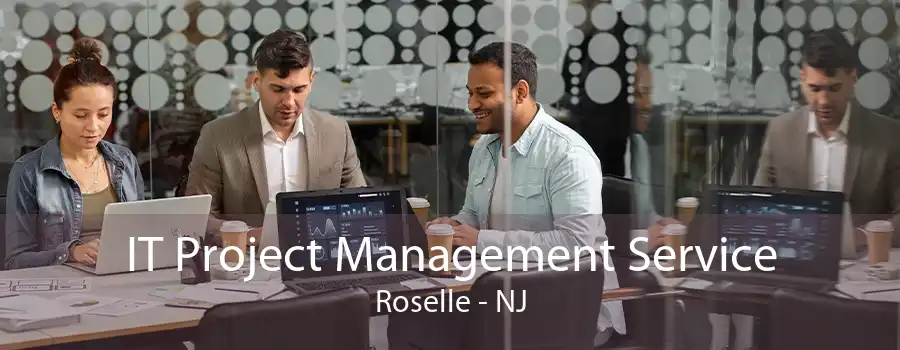 IT Project Management Service Roselle - NJ
