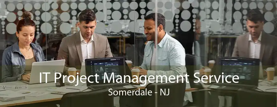 IT Project Management Service Somerdale - NJ