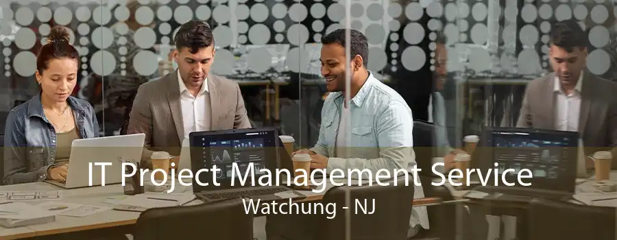 IT Project Management Service Watchung - NJ