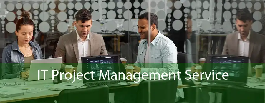 IT Project Management Service 