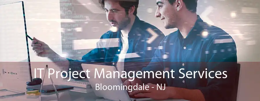 IT Project Management Services Bloomingdale - NJ