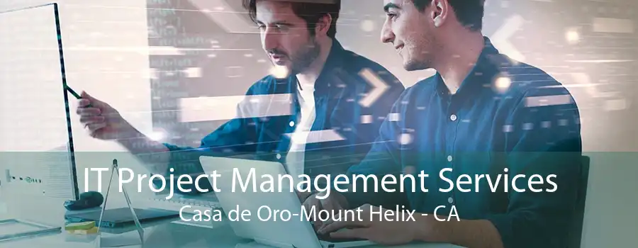 IT Project Management Services Casa de Oro-Mount Helix - CA