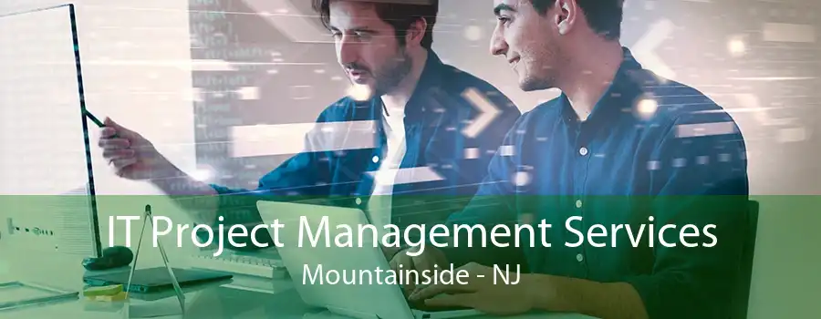 IT Project Management Services Mountainside - NJ