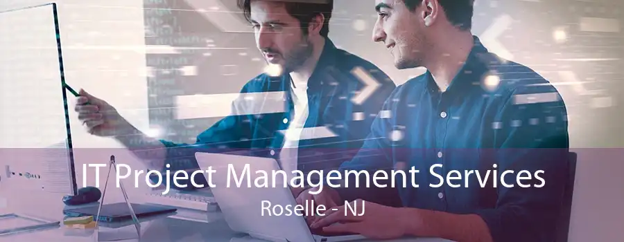 IT Project Management Services Roselle - NJ