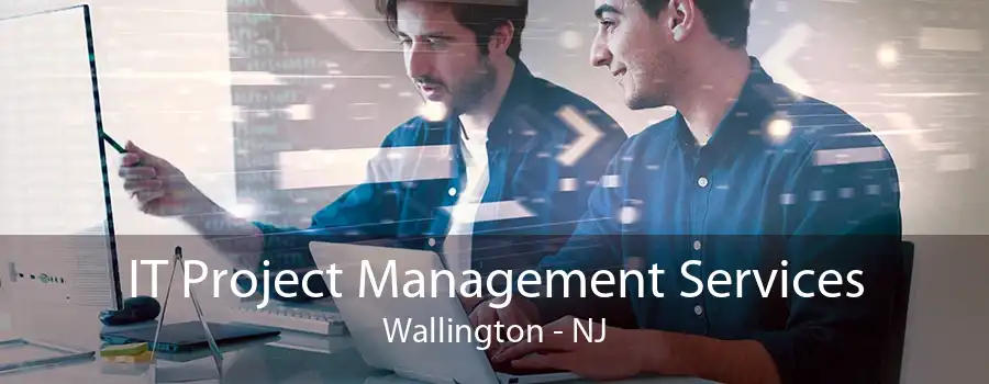 IT Project Management Services Wallington - NJ