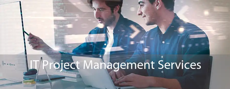 IT Project Management Services 
