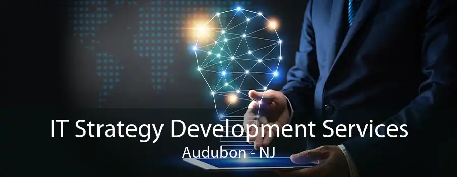 IT Strategy Development Services Audubon - NJ