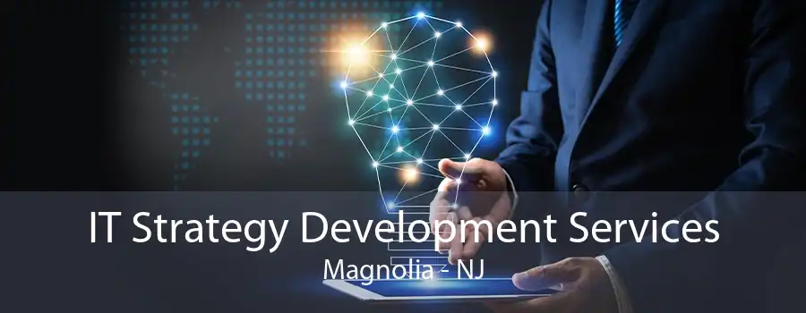 IT Strategy Development Services Magnolia - NJ