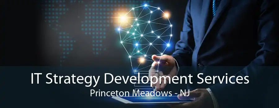 IT Strategy Development Services Princeton Meadows - NJ