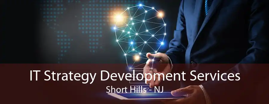 IT Strategy Development Services Short Hills - NJ