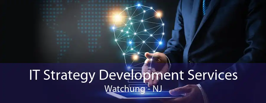 IT Strategy Development Services Watchung - NJ