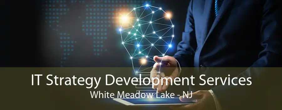 IT Strategy Development Services White Meadow Lake - NJ