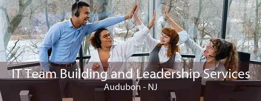 IT Team Building and Leadership Services Audubon - NJ