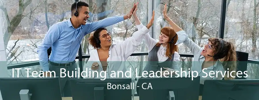 IT Team Building and Leadership Services Bonsall - CA