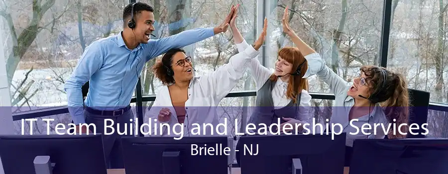 IT Team Building and Leadership Services Brielle - NJ