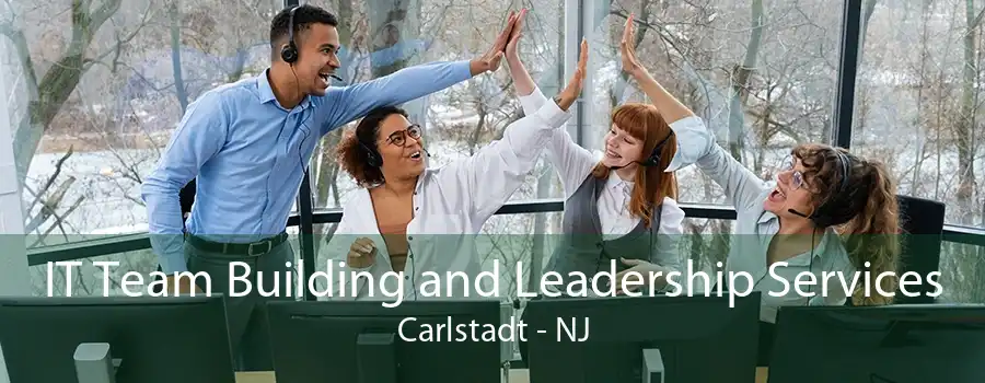 IT Team Building and Leadership Services Carlstadt - NJ