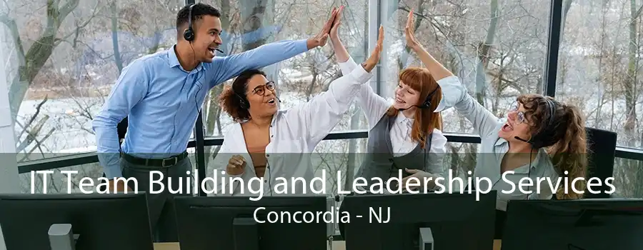 IT Team Building and Leadership Services Concordia - NJ