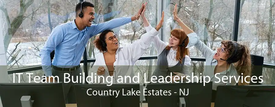 IT Team Building and Leadership Services Country Lake Estates - NJ