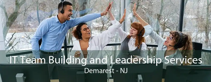 IT Team Building and Leadership Services Demarest - NJ