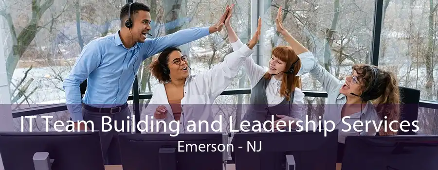 IT Team Building and Leadership Services Emerson - NJ