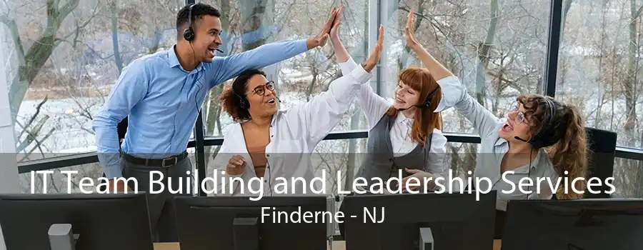 IT Team Building and Leadership Services Finderne - NJ