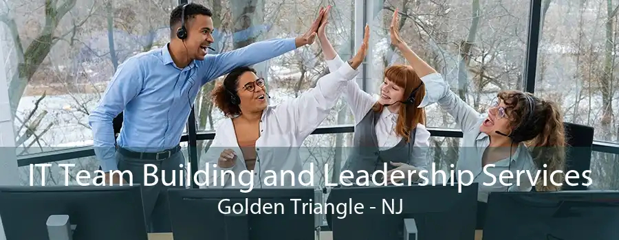 IT Team Building and Leadership Services Golden Triangle - NJ