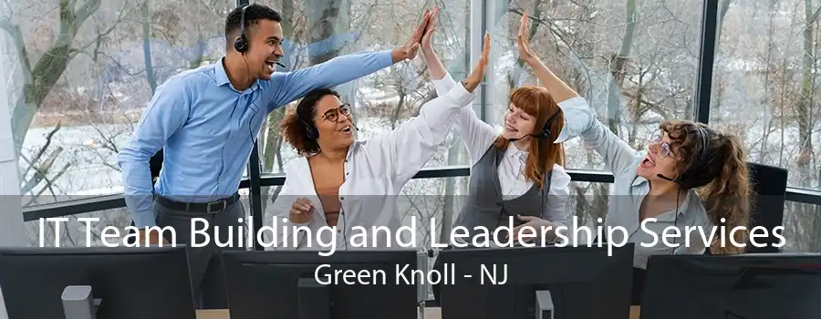 IT Team Building and Leadership Services Green Knoll - NJ