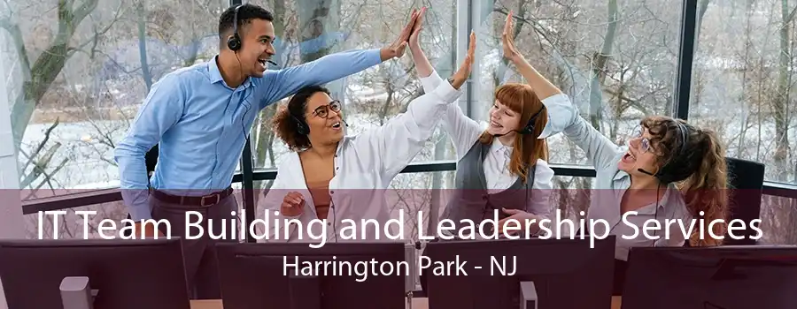 IT Team Building and Leadership Services Harrington Park - NJ
