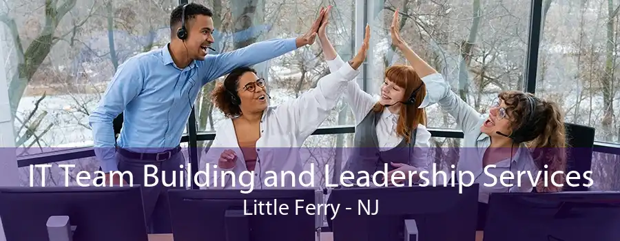 IT Team Building and Leadership Services Little Ferry - NJ