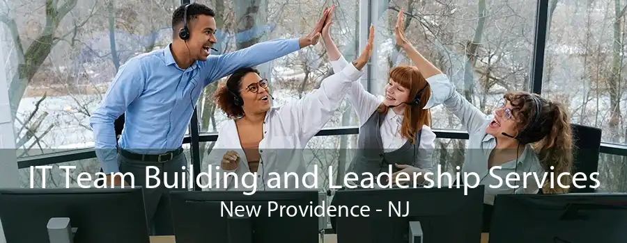 IT Team Building and Leadership Services New Providence - NJ