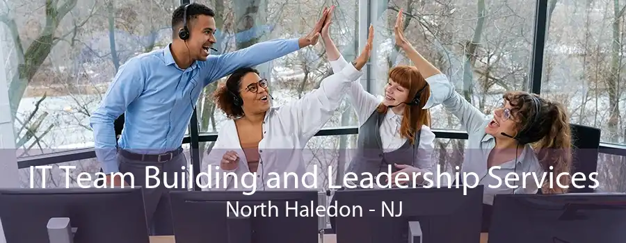 IT Team Building and Leadership Services North Haledon - NJ